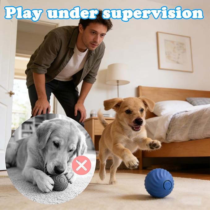 Interactive Dog & Cat Toy Ball, Automatic Moving Pet Toy for Small & Medium Dogs and Cats, USB-C Rechargeable Rolling Indoor Dog Toy for Boredom Relief