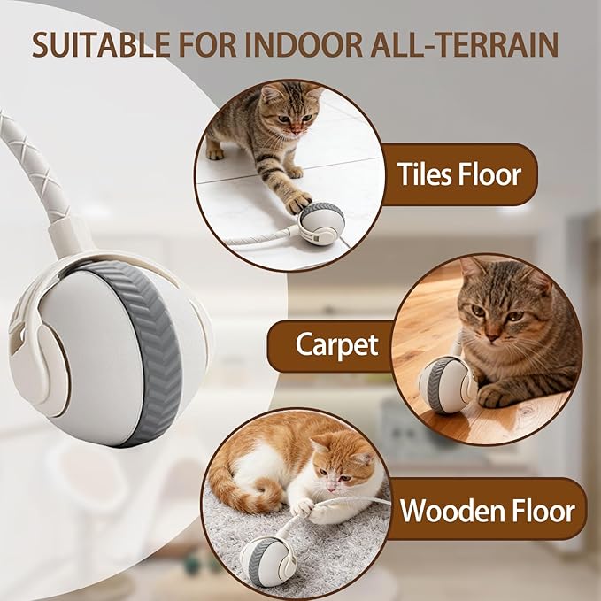 Interactive Cat Toy Ball, Automatic Moving Cat Toy with 2 Speed Modes Bite-Resistant Mouse Tail Bird Chirping Sounds Indoor Play Ball for Cats (White)
