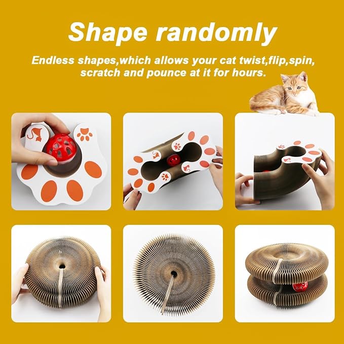 Cat Ball Adventure The Ultimate Interactive Mental & Physical Exercise for Indoor Cats
