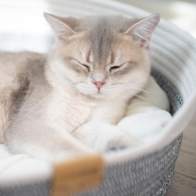 CHEERHOME PETS Cat Bed Basket with Cushion, Cotton Rope Woven Pet Bed for Indoor Cats Couch, Kitten Bed for Medium and Large Cat, All Season Universal (Grey)