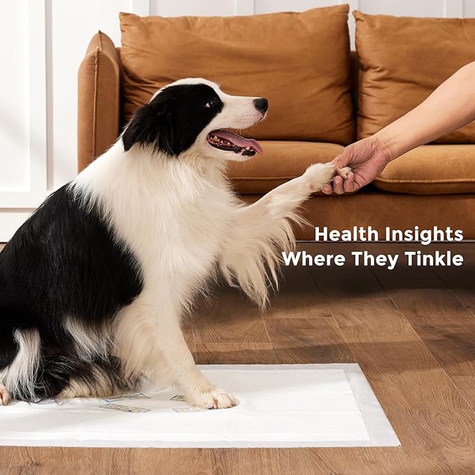 Health Monitoring Puppy Pee Pad with Color Indicators, 22"x22" 5 Counts - 6-Parameter Urine Test, Disposable Dog Potty Training Pads , Odor-Control, Super Absorbent & Leak-Proof