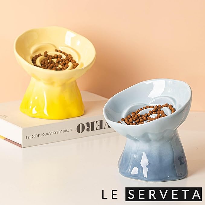 Elevated Ceramic Cat Bowl, Tilted Slow Feeder Pet Dish with Gradient Color Coating, 3.3 Ounces Capacity, Anti-Gulping Design with Rose Bouquet Design (Gradient Blue)