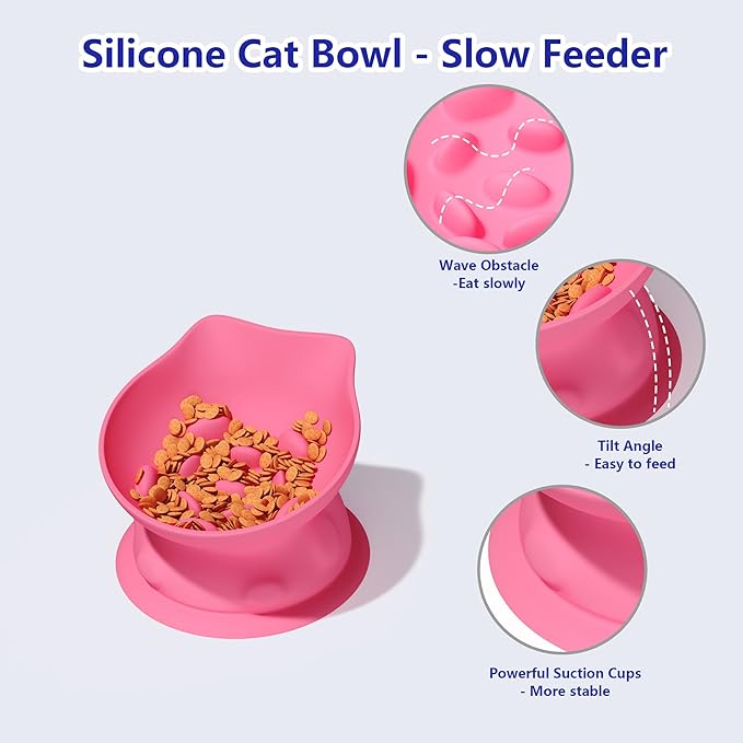 Slow Feed Cat Bowl, Elevated Cat Food Dish with Tilted Design, Dual-Use for Dry and Wet Food, Anti-Vomit, Anti-Choking, Easy to Clean