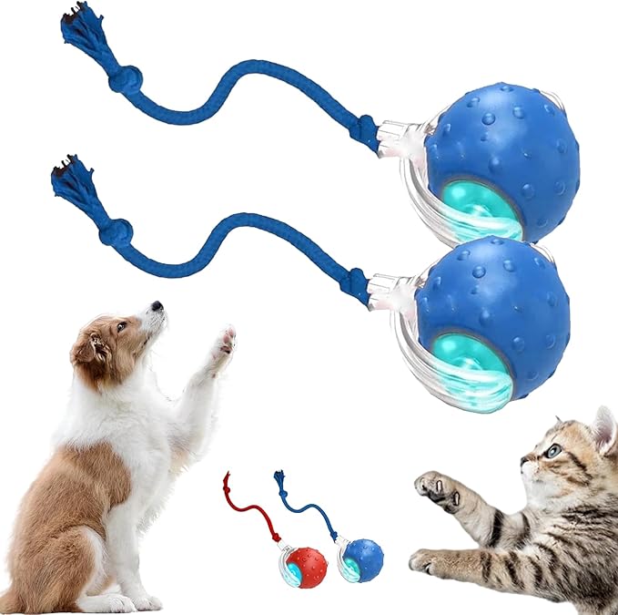 2026 New Interactive Fast Moving Toys Balls with Birdsong, Interactive Dog Cat Toys Balls, 360° Smart Automatic Rolling Electric Dog Ball Toy with Rope for Dogs and Cat Indoor Play (2PCS-Blue)