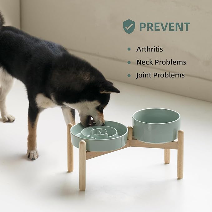 Ceramic 1.2 Cup Raised Slow Feeder Dog Bowl Set, Elevated 6.1inch Bowl and 7.3inch Puzzle Slow Food Dish with Wooden Stand for Medium and Small Dog, Anti-Gulping (2 x Light Green+ Stand)