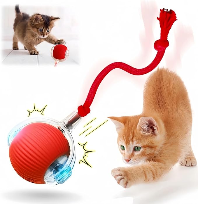 Interactive Cat Toy Balls, Upgraded Cat Toys for Indoor Cats, Smart Self Rolling Interactive Cat Dog Ball, Automatic Moving Peppy Pet Ball for Bored Indoor Adult Cats Kitten Specification(Red)