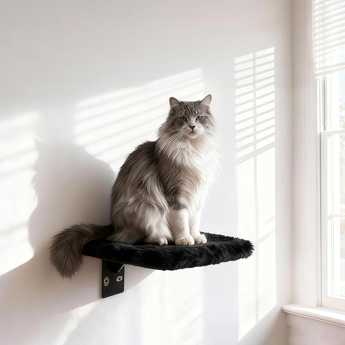 Cat Shelves for Wall，5 in 1 Cat Furniture Set with Soft Curved Pad，Modern Space-Saving Wall Mounted Shelves for Play & Rest