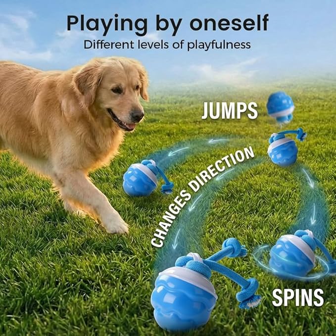 Interactive Dog Toys, 2026 Upgrade Touch Activated Bouncing Jumping Dog Ball Automatic Electric Rolling Balls with Rope, Rechargeable Rolling Chasing Toy for Indoor Outdoor Play (Red)