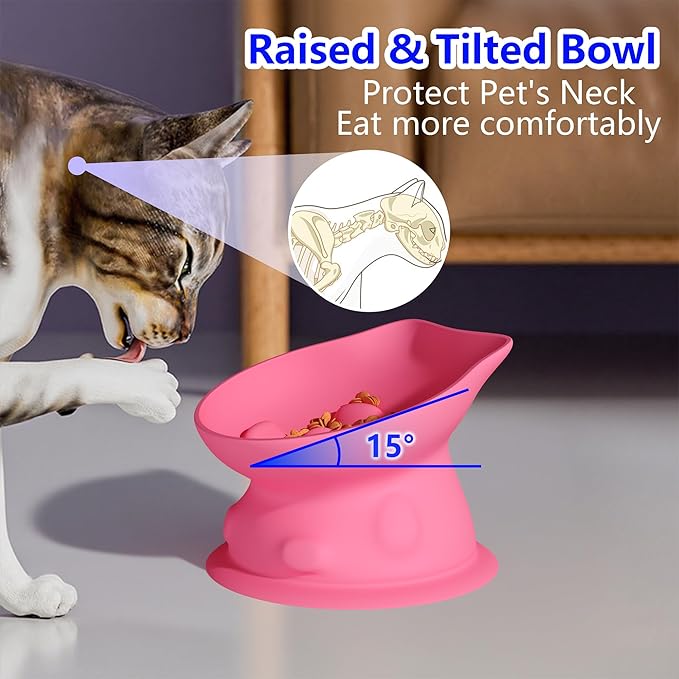 Slow Feed Cat Bowl, Elevated Cat Food Dish with Tilted Design, Dual-Use for Dry and Wet Food, Anti-Vomit, Anti-Choking, Easy to Clean