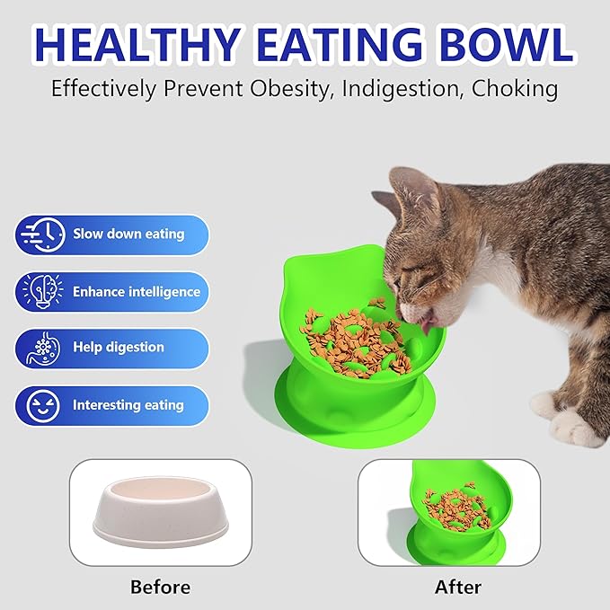 Slow Feed Cat Bowl, Elevated Cat Food Dish with Tilted Design, Dual-Use for Dry and Wet Food, Anti-Vomit, Anti-Choking, Easy to Clean