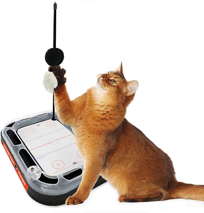 Pets First NHL Philadelphia Flyers Hockey Field 5-in-1 Cat Scratcher Toy with Interactive Cat Ball & Bell