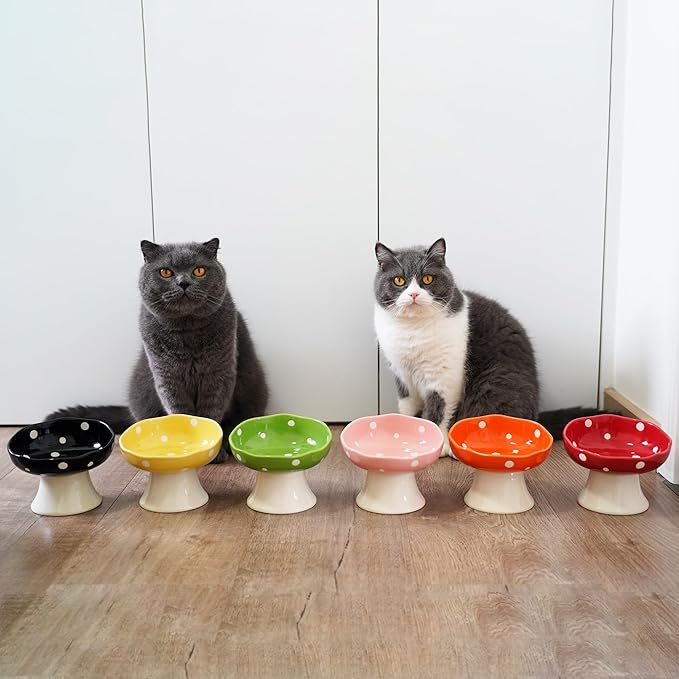 Ceramic Elevated Cat Bowls, Tilted Raised Pet Dish Anti Vomit Kitten Bowl for Indoor Cats, Whisker Friendly Pet Food and Water Bowl for Kitten, Cat, Puppies, Dishwasher Safe (Black)