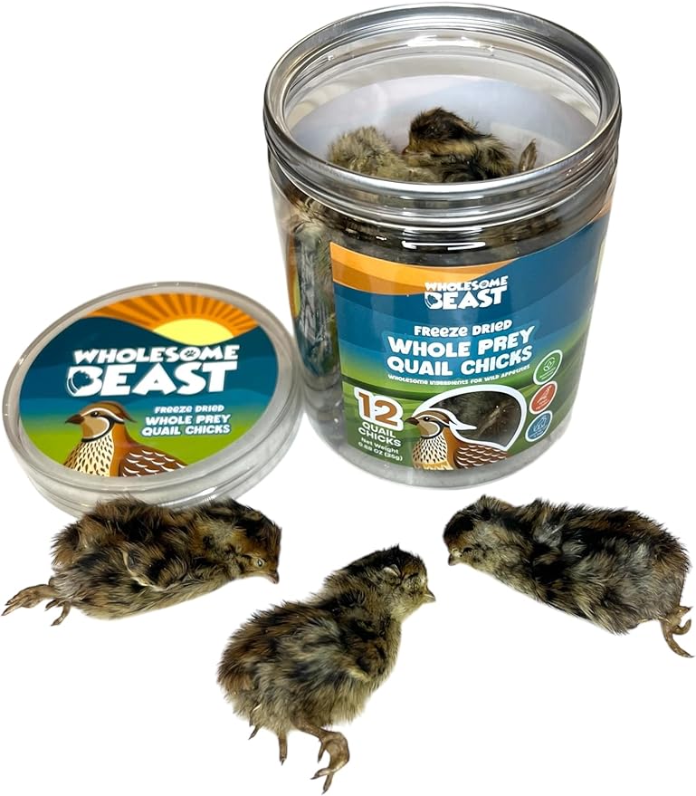 Freeze Dried Whole Prey Quail Chicks for Cats, Dogs, & Ferrets- Whole Feathered Quail Treats for Dogs- Single Ingredient- 12 Count