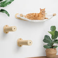 Cat Wall Hammock, Cats Climbing Shelves with 2 Steps, Wall Mounted Furniture Bed and Perches for Climbing, Sleeping, Playing, for Indoor Large Cats or Kitty