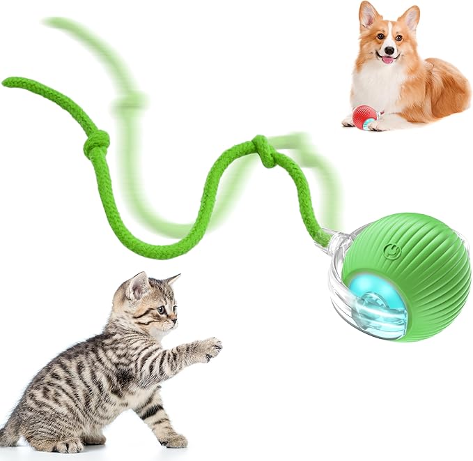 Interactive Cat Ball Toys,Indoor Moving Cat Toys, Automatic Rolling Toy with Cord, Interesting Rotating Ball Toy for Dogs and Cats (Green)