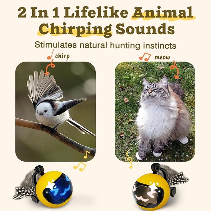 Moving Ball Cat Toys with Feather Tail, Rechargeable 2025 New Interactive Toy with Remote Control for Indoor Cats Exercise, Smart Interactive Kitten Rolling Ball