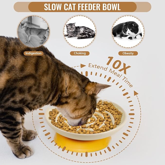 Shallow Elevated Cat Bowls with Bamboo Stand, 5.9 Inch Raised Slow Feeder Cat Bowl and Wide Ceramic Cats Bowls Whisker Friendly, 2 Pack Pet Dishes for Dry and Wet Food Dishwasher Safe