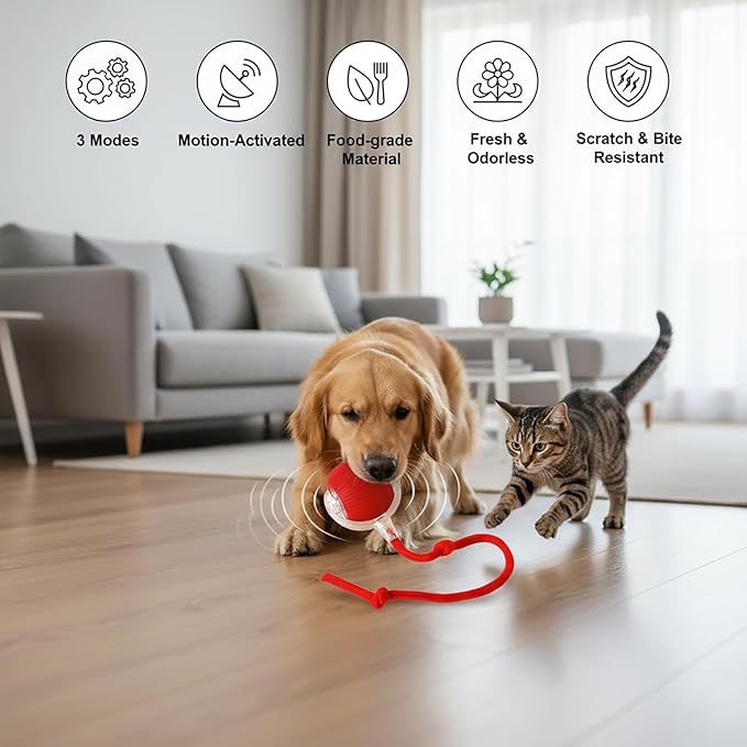Interactive Cat Toys Ball for Cats - Upgrade Automatic Cat Toys for Indoor Cats, 3 Modes 2 Speed Moving Cat Ball (Green)
