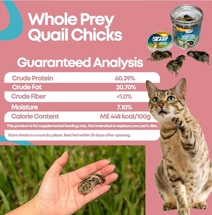 Freeze Dried Whole Prey Quail Chicks for Cats, Dogs, & Ferrets- Whole Feathered Quail Treats for Dogs- Single Ingredient- 12 Count