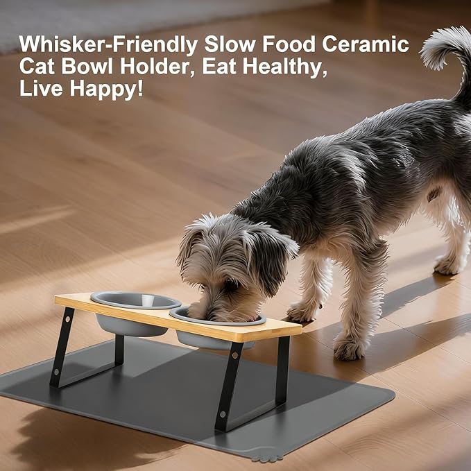Upgraded Adjustable Height Cat Food Bowls Stand Ceramic Dog Bowls and Slow Feeder Cat Bowl, 15°Tilted Stand Anti Vomiting Raised for Small and Medium Sized Cats Dogs (Grey (2 Bowl+Pet mat))