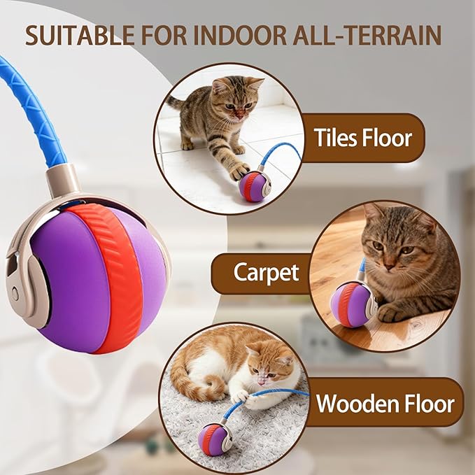 Interactive Cat Toy Ball, Automatic Moving Cat Toy with 2 Speed Modes Bite-Resistant Mouse Tail Bird Chirping Sounds Indoor Play Ball for Cats (Purple)