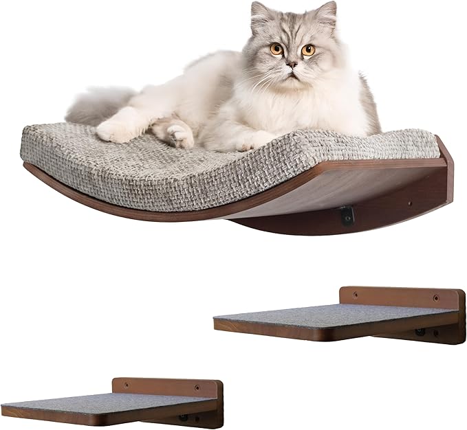 Premium Cat Shelves – Shelf in Walnut Brown with Replaceable Carpet with 2 Pine Wood Steps (3pcs). Sturdy Perches for Wall. Cat Hammock Bed Furniture for Cats