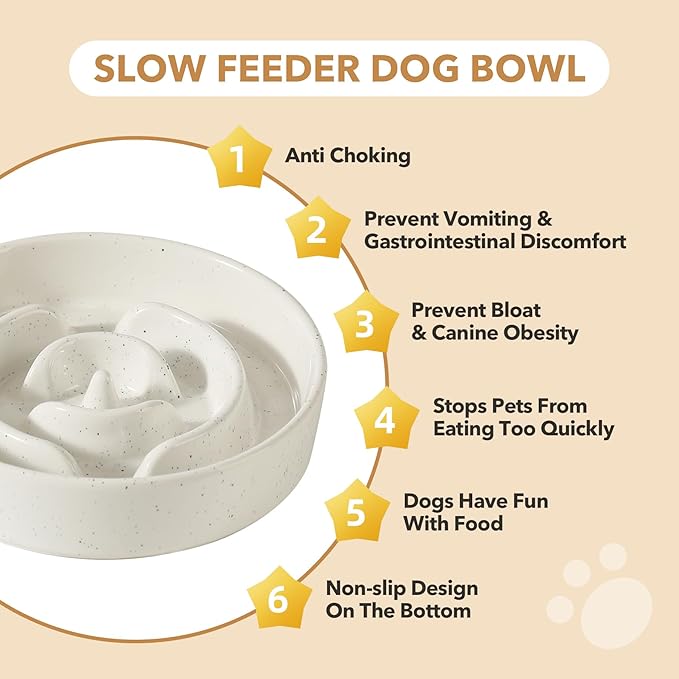 Ceramic 1.6 Cup Raised Slow Feeder Dog Bowl Set, Elevated 7.3inch Bowl and 8.2inch Dish with Acacia Wood Stand for Medium and Large Dogs(2 x Vanilla White+ Stand)