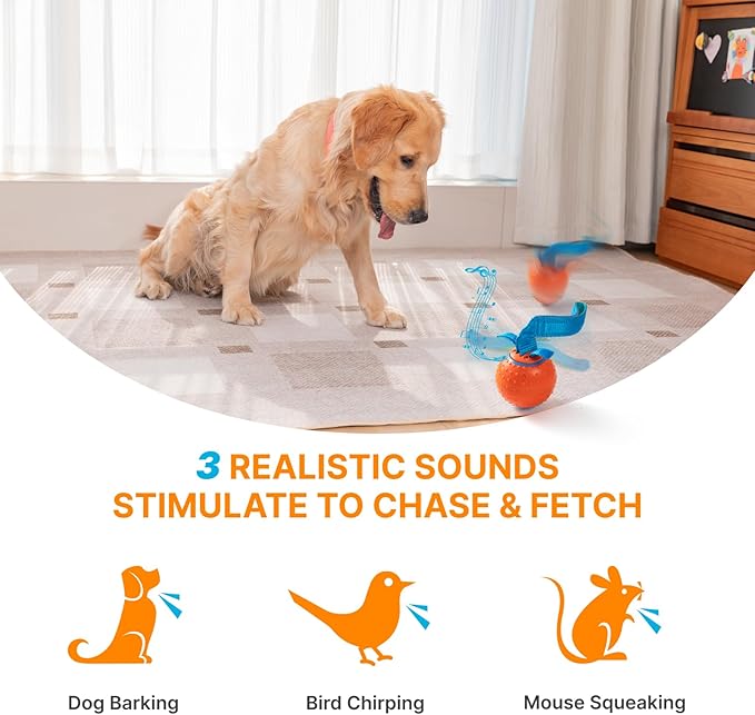 Interactive Dog Ball Toys Electric Automatic Moving Dog Toys to Keep Them Busy Rechargeable Smart Rolling