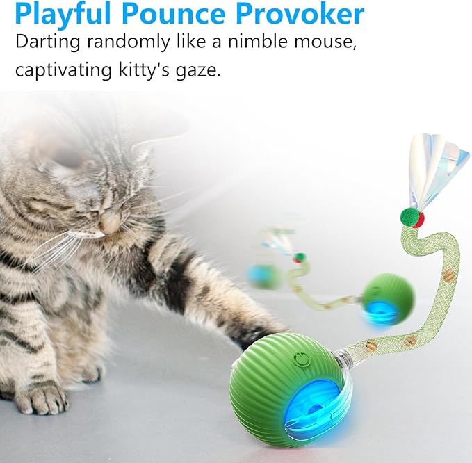 Interactive Cat Toys for Indoor Cats, Interactive Cat Ball Toy with Elastic Mesh Tail, Automatic Cat/Kitten Toys with Chirping & Motion Activate, Cat Toys for Bored Indoor (Green)