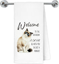 Funny Ragdoll Cat Bathroom Hand Towels, Cat Lovers Mom Dad Lady Gifts, Welcome to The Bathroom Cute Kitten Decorative Hand Towels for Washroom Restroom, 16x24 Inch