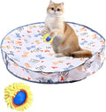KOIJYFNL Interactive Cat Toys Ball Fast Rolling Cat Toys in Pouch, Moving Best Cats Toys for Indoor, Hide and Seek Chase Exercise Game, Motion Activate Rechargeable Kitten Toys