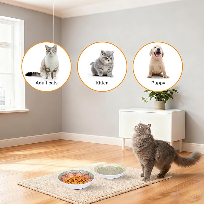 Ceramic Cat Food Bowls,6 Pack Colorful Cat Bowls Set,Anti-Slip Cats Dishes,Whisker Friendly Wide Pet Bowls for Indoor,5.75 inch Cute Kitten Plates for Wet and Dry Food Water