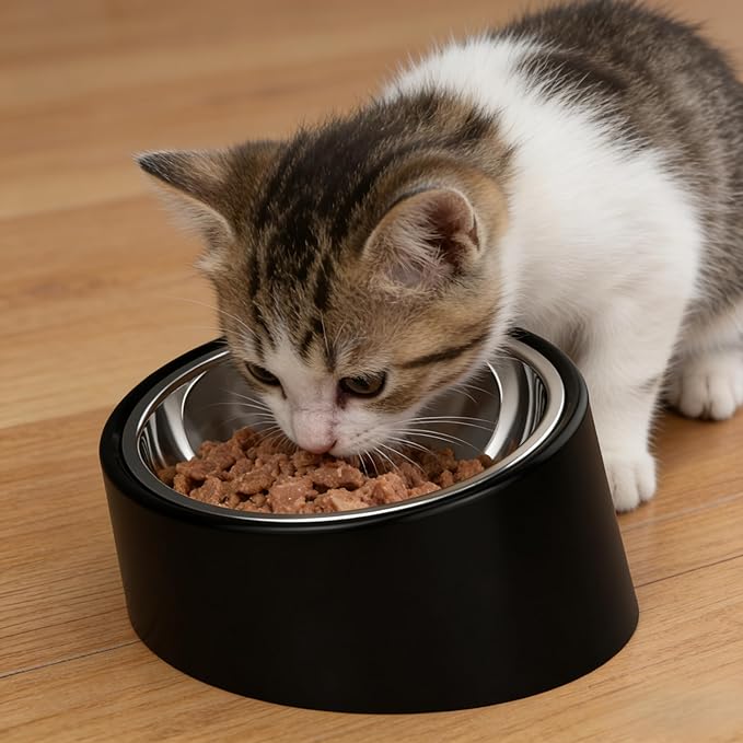 No-Spill Non-Skid for Large Breeds: 15° Tilted Feeder for with Cones or Long Ears - Detachable 2-in-1 Stainless Steel Elevated Dish, Easy Access, Black (Size L)
