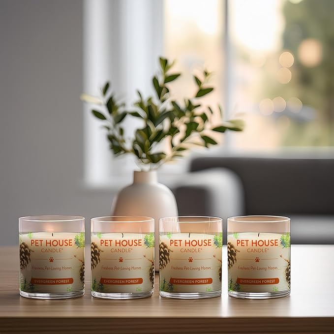 One Fur All Pet House Soy Candles, Clean Burning, Plant-Based Scented Candles for Pet Odor, Evergreen Forest, 4 Pack