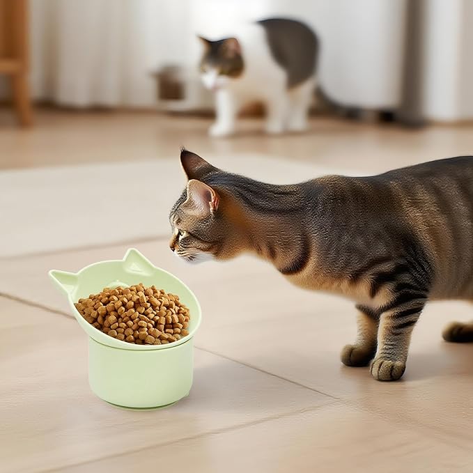 Cat Slow Feeder, Elevated Slow Feeder Bowl Tilt Design, No Black Chin, Tilted Design, for Dry Wet Food, for Cats & Small Dogs (Green)