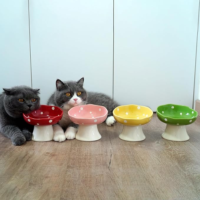 Ceramic Elevated Cat Bowls, Tilted Raised Pet Dish Anti Vomit Kitten Bowl for Indoor Cats, Whisker Friendly Pet Food and Water Bowl for Kitten, Cat, Puppies, Dishwasher Safe (Pink+Red+Yellow+Green)