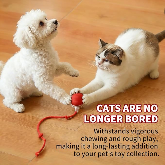 Smart Interactive Cat Toys for Indoor Cats, Motion Activated Cat Balls, Smart Obstacle Avoidance & 3 Speeds, Quiet Moving Dog Ball, Electric Toy Ball for Bored Indoor Cats & Dogs, Red