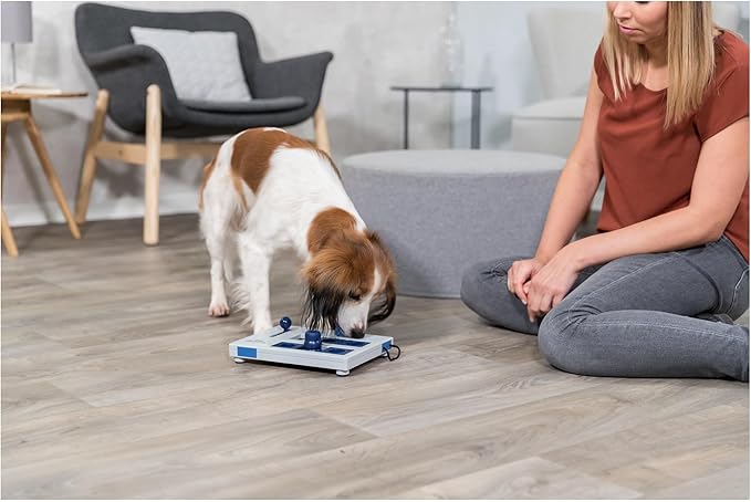 TRIXIE Mini Mover Dog Activity Interactive Toy, Level 3 Food Puzzle Game, Brain Teasing Treat Dispenser, IQ and Mental Development Toy for Smart Dogs, Enrichment Toy for Boredom Busting