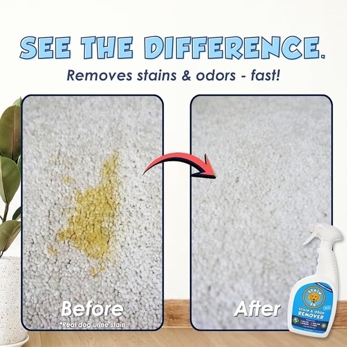 Pro Strength Carpet Odor & Stain Remover Works Like Magic in a Bottle on Tough Urine Feces Vomit and Even red Wine Too! 24 fl.oz
