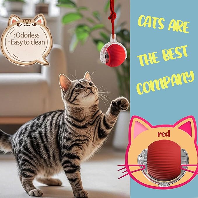 Interactive Cat Toys Ball for Indoor Cats, Interactive Rolling Small Dog Cat Toys Automatic Self Moving, 360°,Electric Balls，Fast Rolling，Smart Automatic Rolling Pet Ball (Blue)