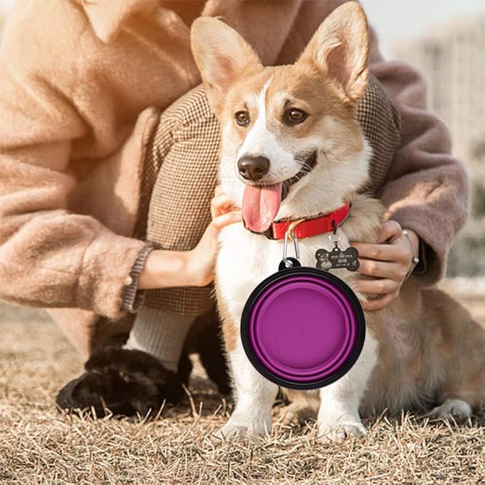 Guardians Large Collapsible Dog Bowls, 34oz Travel Water Food Bowls Portable Foldable Collapse Dishes with Carabiner Clip, 2 Pack (Blue + Purple)