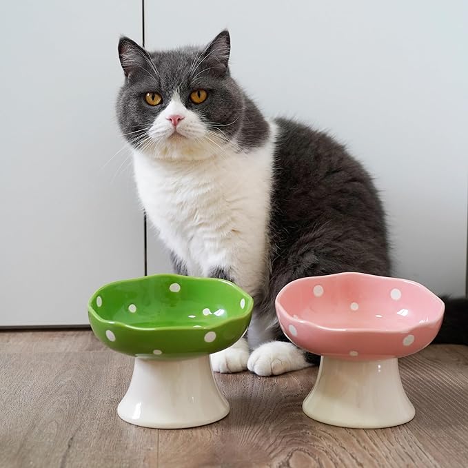 Ceramic Elevated Cat Bowls, Tilted Raised Pet Dish Anti Vomit Kitten Bowl for Indoor Cats, Whisker Friendly Pet Food and Water Bowl for Kitten, Cat, Puppies, Dishwasher Safe (Pink+Red+Yellow+Green)