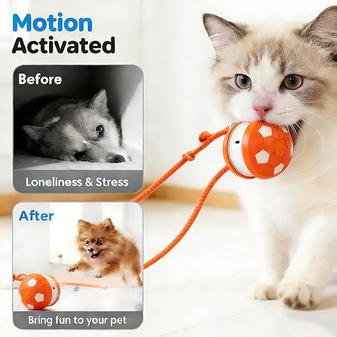 Interactive Cat Toy Ball, Motion Activated Smart Rolling Toy for Indoor Cats, Rechargeable Interactive Toy Ball for Indoor Cats Exercise, Automatic Moving Ball for Boredom to Keep Cats Busy