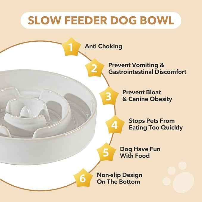 Ceramic 1.2 Cup Raised Slow Feeder Dog Bowl Set, Elevated 6.1inch Bowl and 7.3inch Dish with Acacia Wood Stand for Small and Medium Dog(2 x Reactived Glaze -White+ Stand)