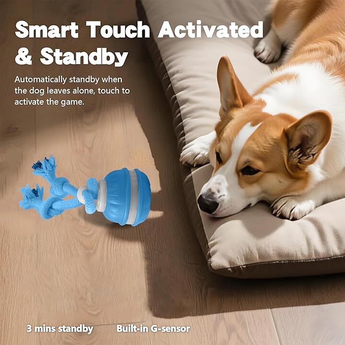 Interactive Dog Toys, Motion Activate Rolling Ball for Small Medium Large Dogs, Automatic Moving Toy, Interactive Dog Ball Stimulation Toy for Boredom Relief (Blue)