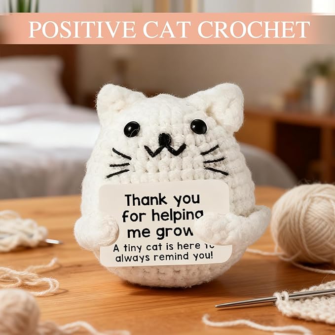Teacher Appreciation Gifts for Women, Teacher Birthday Christmas Thank You Gifts Set with 16OZ Glass Cup Positive Cat Crochet