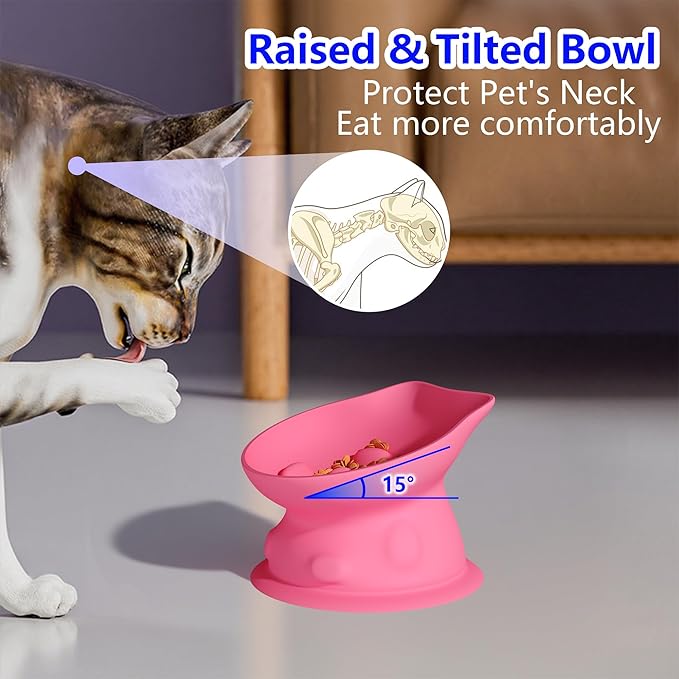 Slow Feed Cat Bowl, Elevated Cat Food Dish with Tilted Design, Dual-Use for Dry and Wet Food, Anti-Vomit, Anti-Choking, Easy to Clean