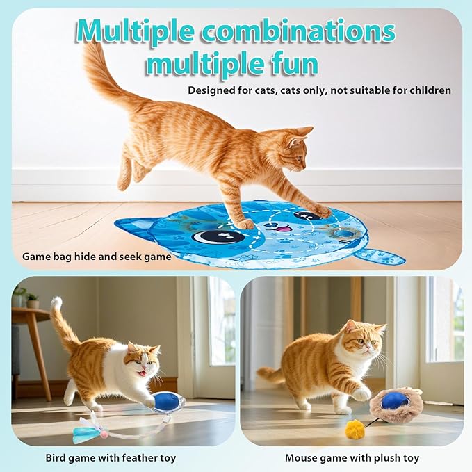 Interactive Cat Toy Electric Fast-Rolling Ball with Automatic Standby Active Mode Chirping LED Light with Sound Cat Hunting Toys for Indoor Cats
