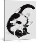 Modern Tuxedo Cat Wall Art Decor Cute Black and White Cat Print Picture Wall Decor for Home Living Room 8x10 Inch Canvas Framed