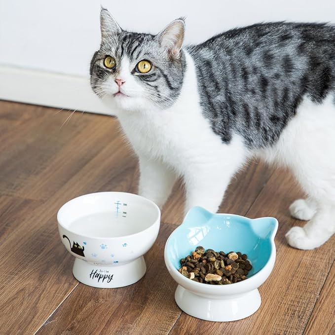 Porcelain Raised cat Bowl, 15-Ounce Raised Porcelain pet Bowl - Protects Your pet's Spine, Large-Capacity Non-Overflowing pet Bowl with Anti-Slip Strap, Dishwasher Safe (Blue)